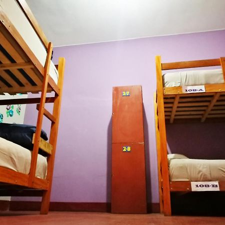 York Vintage Bed and Breakfast Λα Πας Εξωτερικό φωτογραφία