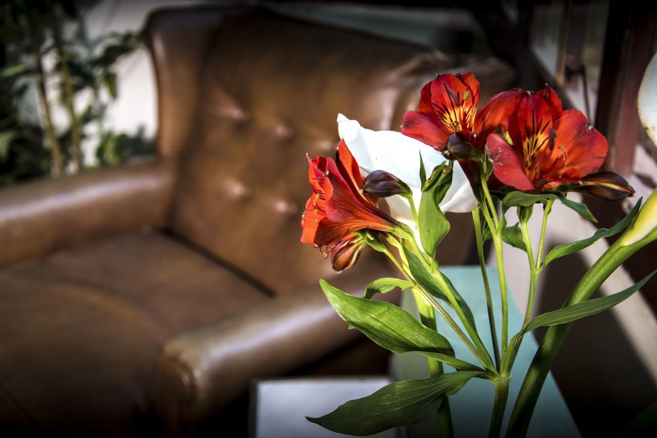 York Vintage Bed and Breakfast Λα Πας Εξωτερικό φωτογραφία